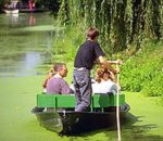 Green Venice